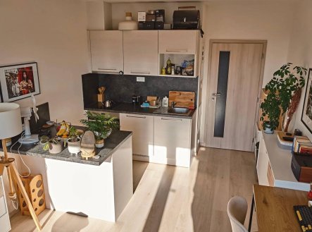 Pronájem bytu, 1+kk, 27 m²