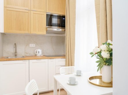 Pronájem bytu, 1+kk, 20 m²