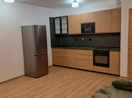 Pronájem bytu, 2+kk, 54,9 m²