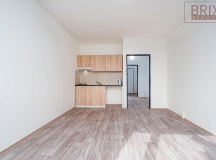 dsc04367-edit.jpg | Prodej bytu, 1+kk, 28 m²