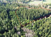 Prodej - pozemek, les, 32 111 m²