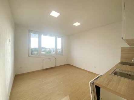 Pronájem bytu, 1+1, 36 m²
