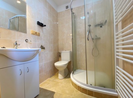 Pronájem bytu, 1+kk, 25 m²