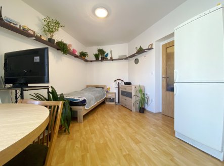 Pronájem bytu, 1+kk, 23 m²