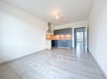 Pronájem bytu, 3+kk, 60 m²