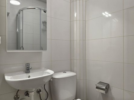 Pronájem bytu, 1+kk, 27 m²
