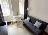Pronájem bytu, 1+kk, 16 m²
