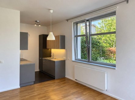 Pronájem bytu, 2+kk, 56 m²