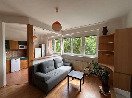 Pronájem bytu, 2+kk, 42 m²