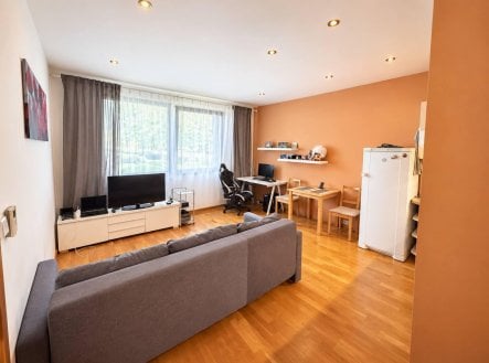 Pronájem bytu, 2+kk, 51 m²