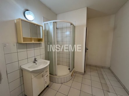 Pronájem výrobní prostory, 266 m²