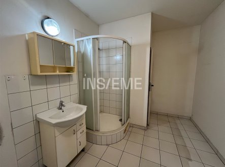 Pronájem výrobní prostory, 266 m²
