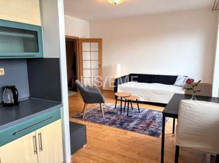 Pronájem bytu, garsoniéra, 33 m²