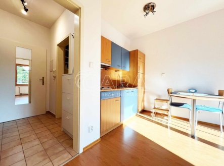 Pronájem bytu, 1+kk, 26 m²