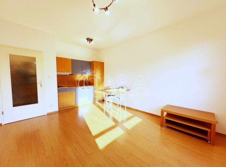 Pronájem bytu, 1+kk, 26 m²
