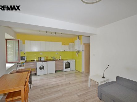 Pronájem bytu, 2+kk, 47 m²