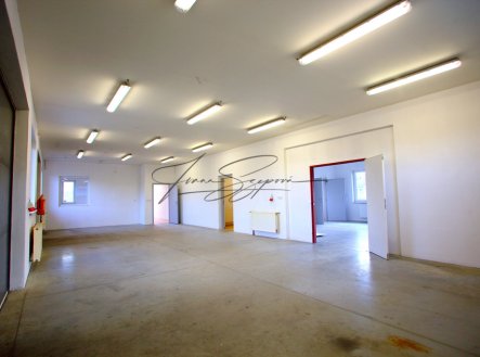 Pronájem výrobní prostory, 245 m²