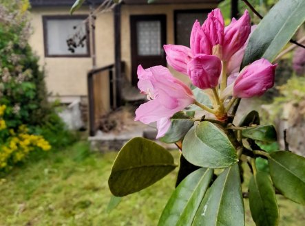 Prodej chaty/rekreačního objektu, 28 m²
