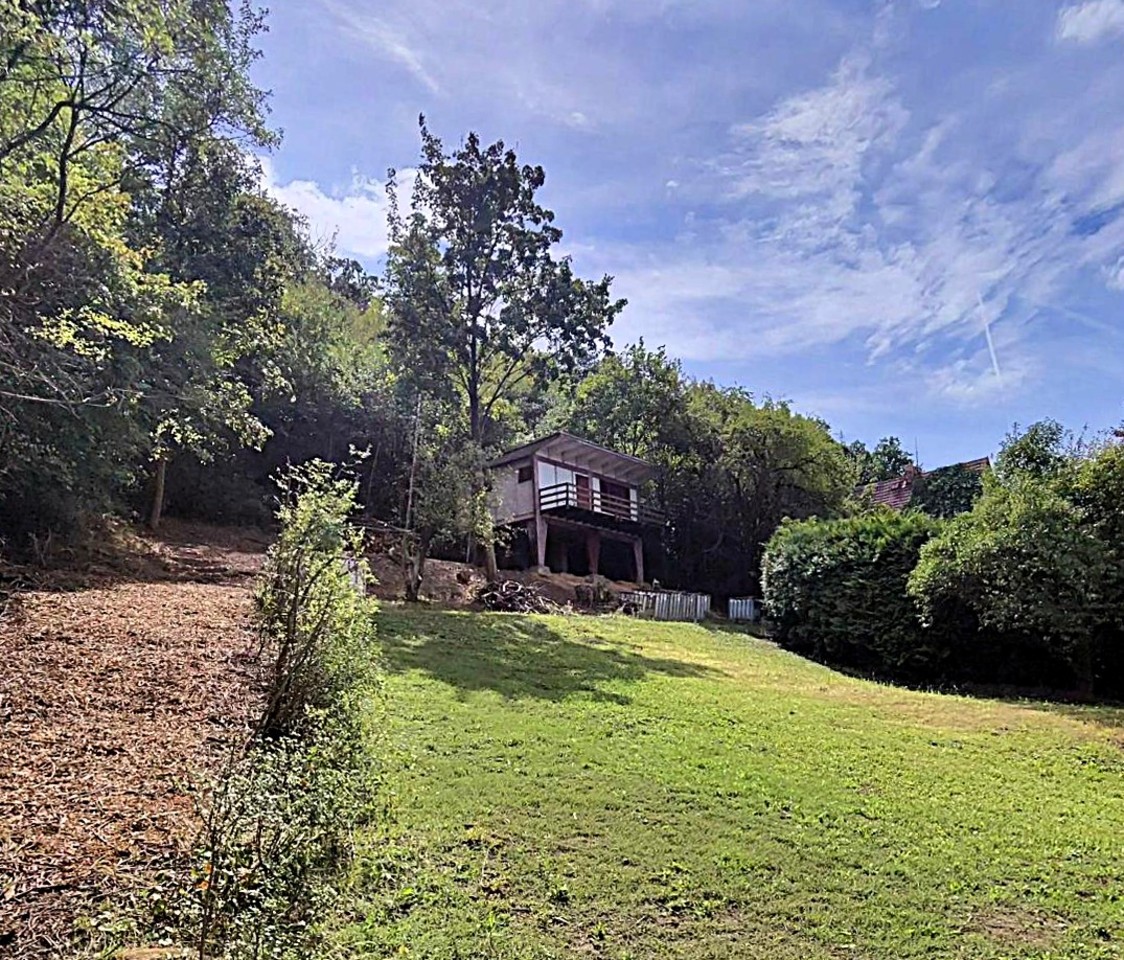 Fotka 29