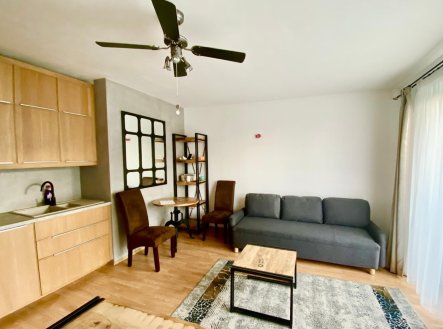 Pronájem bytu, 1+kk, 31 m²