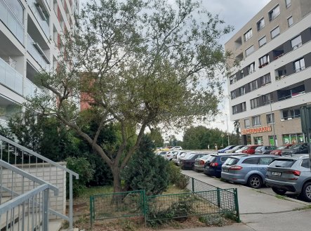 Prodej obchodní prostory, 15 m²