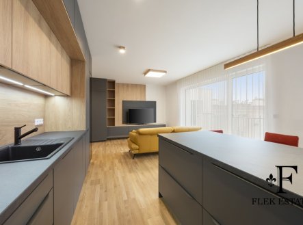 Pronájem bytu, 3+kk, 225 m²