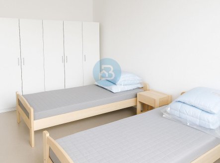 Pronájem bytu, pokoj, 12 m²