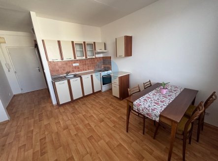 Pronájem bytu, 1+1, 36 m²