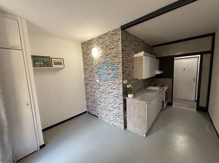Pronájem bytu, 1+1, 43 m²