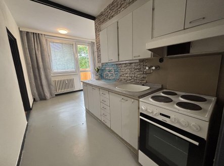 Pronájem bytu, 1+1, 43 m²