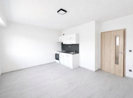 Pronájem bytu, 1+kk, 26 m² obrázek