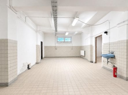 Pronájem skladu, 50 m²
