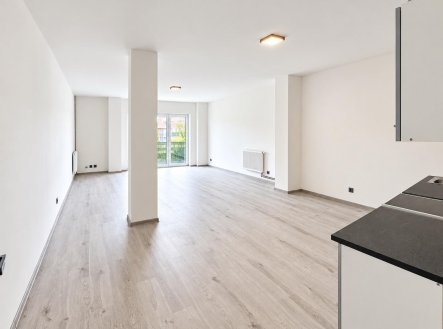 Pronájem bytu, 1+kk, 58 m²