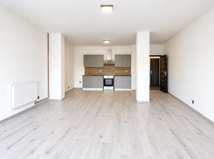 Pronájem bytu, 1+kk, 58 m²