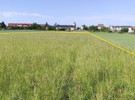 Prodej pozemku pro bydlení, 6 890 m²