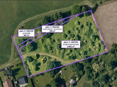 Prodej pozemku, trvalý travní porost, 4 579 m²