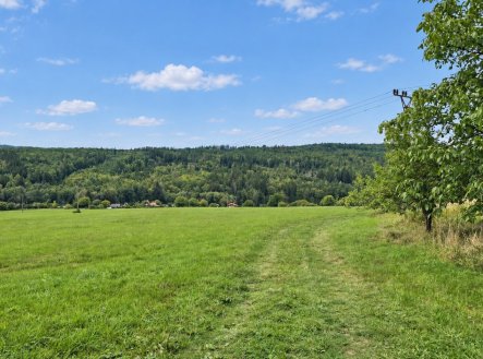 Prodej pozemku, trvalý travní porost, 4 579 m²
