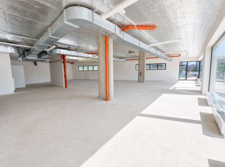 Prodej obchodní prostory, 540 m²