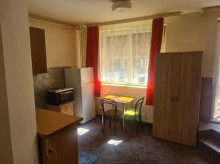 Pronájem bytu, 1+kk, 25 m²