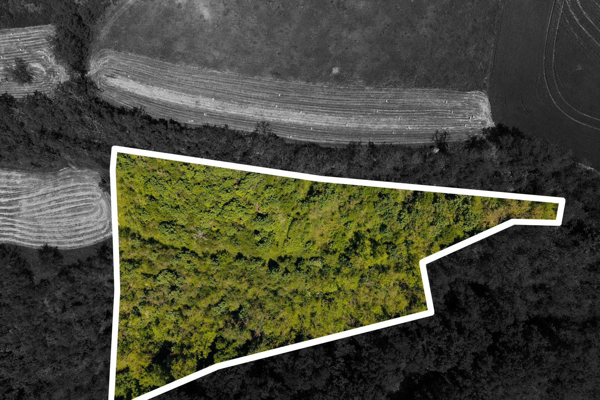 DJI_20260526120040_0486_D-obrys