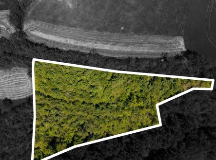 DJI_20260526120040_0486_D-obrys | Prodej - pozemek, zahrada, 8 724 m²