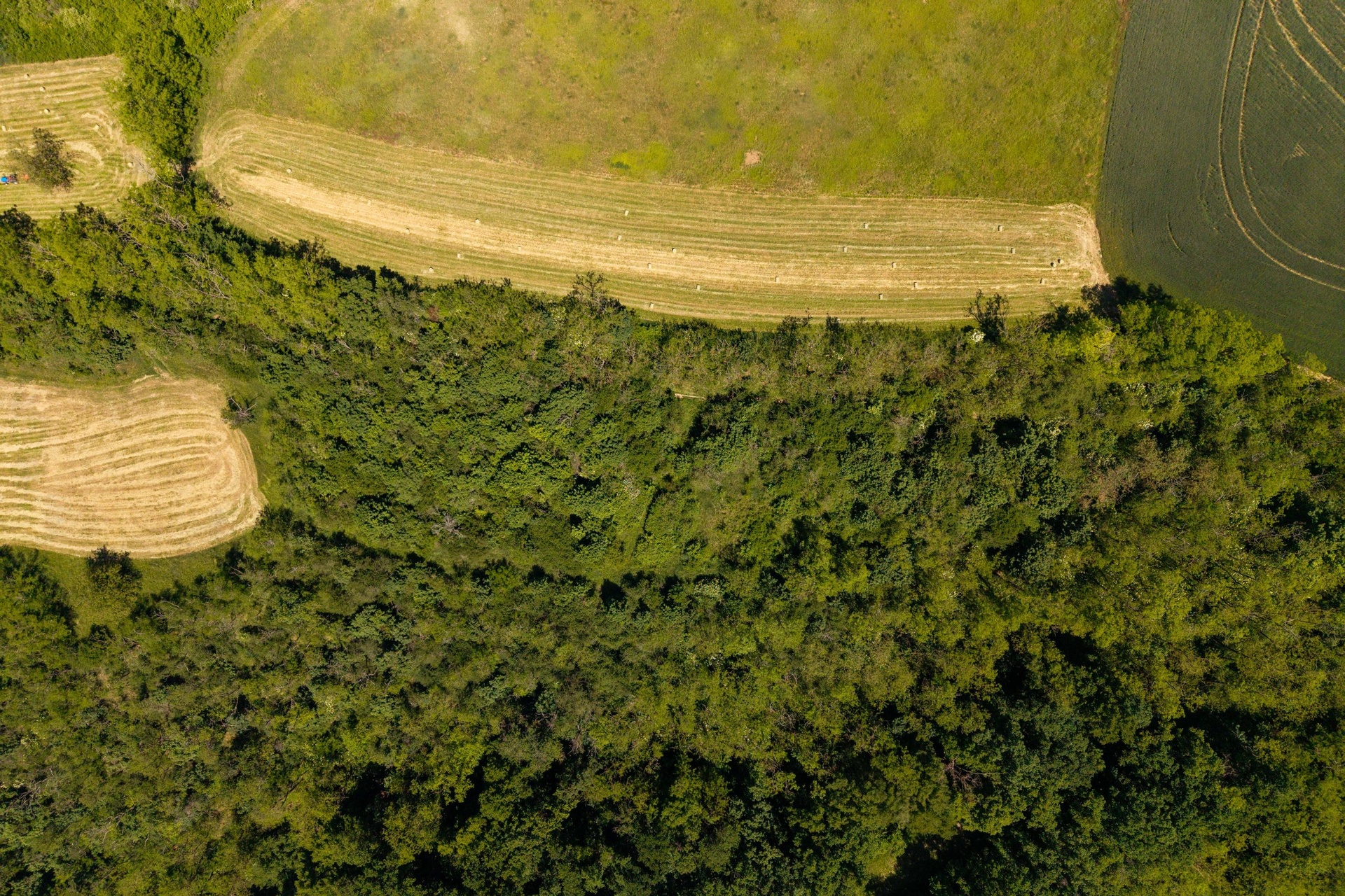 DJI_20260526120040_0486_D