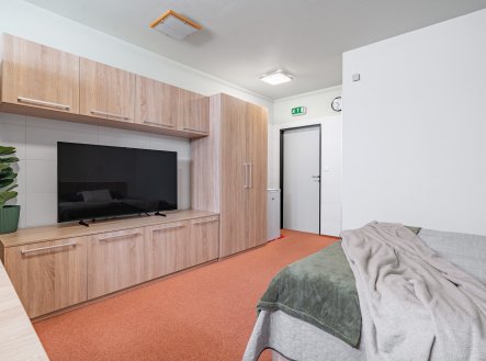 Prodej bytu, 1+kk, 31 m²