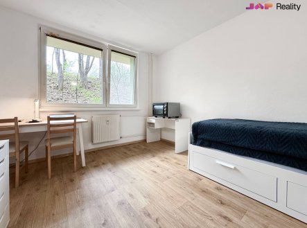 Pronájem bytu, 1+kk, 20 m²
