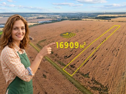 4_vetsi vlevo | Prodej - pozemek, zemědělská půda, 37 935 m²