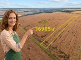 Prodej pozemku, zemědělská půda, 37 935 m²