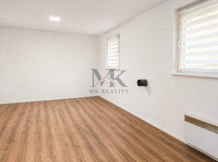 Pronájem bytu, 1+1, 53 m²