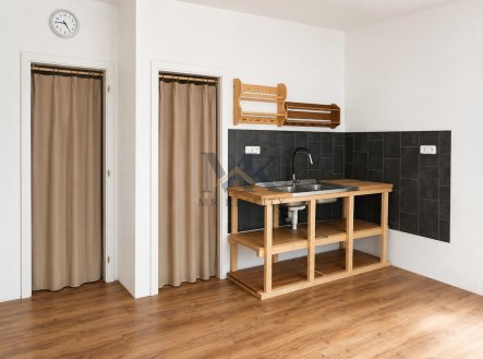 Pronájem bytu, 1+1, 53 m²