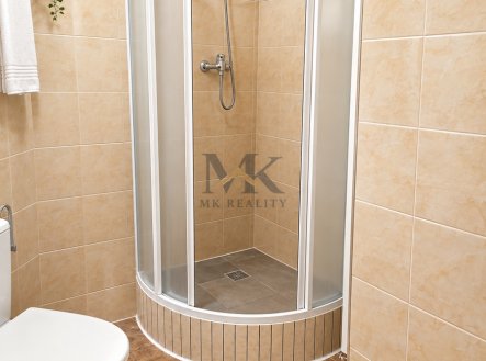 Pronájem bytu, 1+1, 42 m²