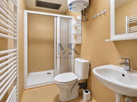 Pronájem bytu, 1+kk, 30 m²